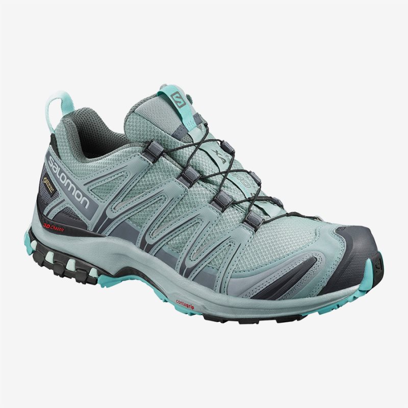Salomon XA PRO 3D GTX W Womens Hiking Shoes Turquoise | Salomon South Africa